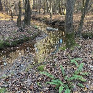 Photo #14 of 19.6 acres Willie, Seagrove, NC 19.6 acres