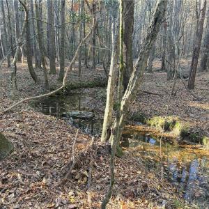 Photo #15 of 19.6 acres Willie, Seagrove, NC 19.6 acres