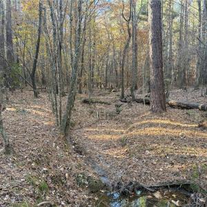 Photo #11 of 19.6 acres Willie, Seagrove, NC 19.6 acres