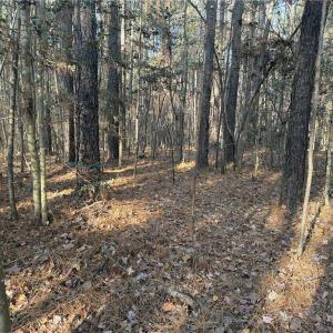 Photo #4 of 19.6 acres Willie, Seagrove, NC 19.6 acres