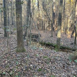 Photo #8 of 19.6 acres Willie, Seagrove, NC 19.6 acres