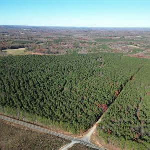 Photo #21 of 19.6 acres Willie, Seagrove, NC 19.6 acres