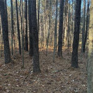 Photo #6 of Lot 11 Woods, Seagrove, NC 11.5 acres