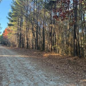 Photo #7 of Lot 11 Woods, Seagrove, NC 11.5 acres