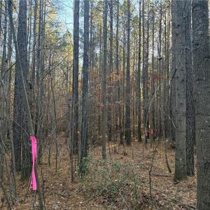 Photo #3 of Lot 11 Woods, Seagrove, NC 11.5 acres