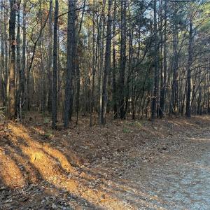 Photo #5 of Lot 11 Woods, Seagrove, NC 11.5 acres