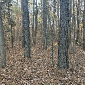 Photo #9 of Lot 11 Woods, Seagrove, NC 11.5 acres