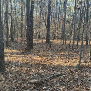 Photo #10 of Lot 11 Woods, Seagrove, NC 11.5 acres