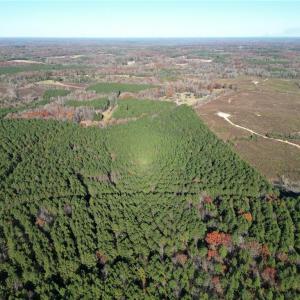 Photo #11 of Lot 11 Woods, Seagrove, NC 11.5 acres