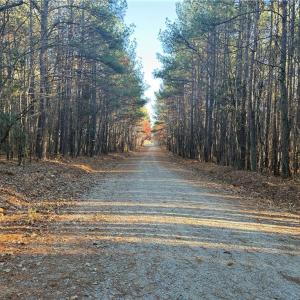 Photo #4 of Lot 11 Woods, Seagrove, NC 11.5 acres