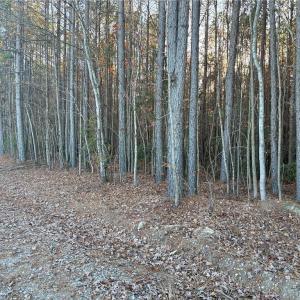 Photo #2 of Lot 12B Woods, Seagrove, NC 6.0 acres