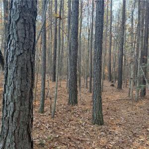 Photo #6 of Lot 12B Woods, Seagrove, NC 6.0 acres
