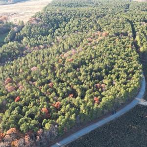 Photo #12 of Lot 12B Woods, Seagrove, NC 6.0 acres