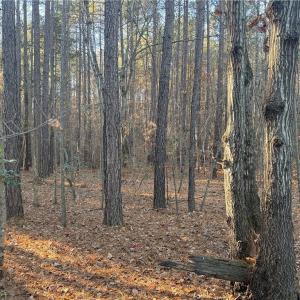 Photo #7 of Lot 12B Woods, Seagrove, NC 6.0 acres