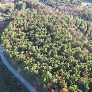 Photo #9 of Lot 12B Woods, Seagrove, NC 6.0 acres