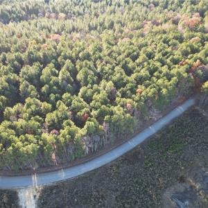 Photo #11 of Lot 12B Woods, Seagrove, NC 6.0 acres