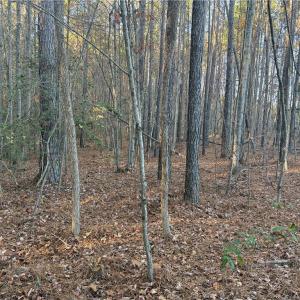 Photo #4 of Lot 12B Woods, Seagrove, NC 6.0 acres