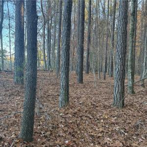 Photo #8 of Lot 12B Woods, Seagrove, NC 6.0 acres