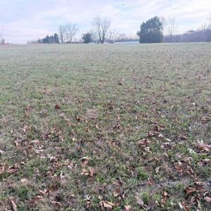 Photo #2 of Tom Ball, Randleman, NC 8.2 acres