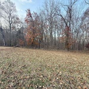 Photo #3 of Tom Ball, Randleman, NC 8.2 acres