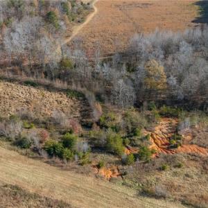 Pond site at the back of the property