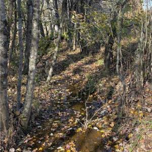 Photo #13 of 3.1 AC +/- Long Valley, Greensboro, NC 3.1 acres