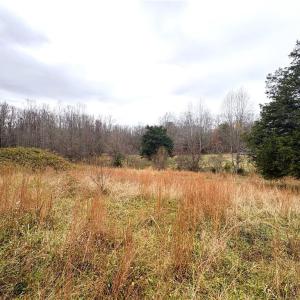Photo #20 of 3.1 AC +/- Long Valley, Greensboro, NC 3.1 acres