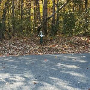Photo #19 of 3.1 AC +/- Long Valley, Greensboro, NC 3.1 acres