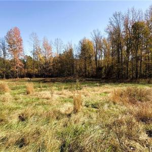 Photo #8 of 3.1 AC +/- Long Valley, Greensboro, NC 3.1 acres