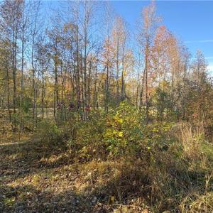 Photo #12 of 3.1 AC +/- Long Valley, Greensboro, NC 3.1 acres