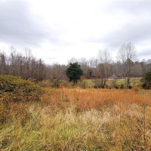 Photo #22 of 3.1 AC +/- Long Valley, Greensboro, NC 3.1 acres