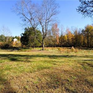 Photo #7 of 3.1 AC +/- Long Valley, Greensboro, NC 3.1 acres