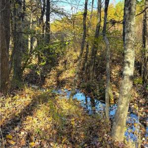 Photo #10 of 3.1 AC +/- Long Valley, Greensboro, NC 3.1 acres