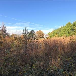 Photo #11 of 3.1 AC +/- Long Valley, Greensboro, NC 3.1 acres
