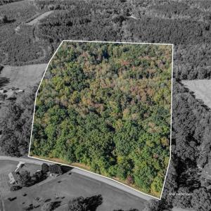 Photo #23 of Lot 2 Joe Cobb, Ruffin, NC 29.5 acres