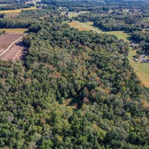 Photo #27 of Lot 2 Joe Cobb, Ruffin, NC 29.5 acres