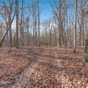 Photo #17 of Lot 2 Joe Cobb, Ruffin, NC 29.5 acres