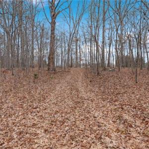 Photo #16 of Lot 2 Joe Cobb, Ruffin, NC 29.5 acres