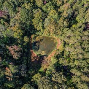 Photo #26 of Lot 2 Joe Cobb, Ruffin, NC 29.5 acres