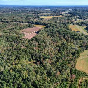 Photo #28 of Lot 2 Joe Cobb, Ruffin, NC 29.5 acres