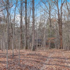 Photo #20 of Lot 2 Joe Cobb, Ruffin, NC 29.5 acres