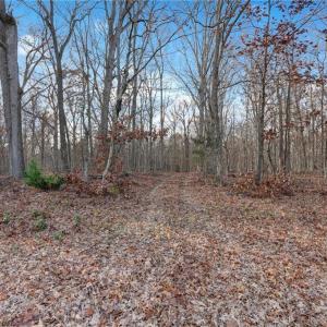 Photo #18 of Lot 2 Joe Cobb, Ruffin, NC 29.5 acres