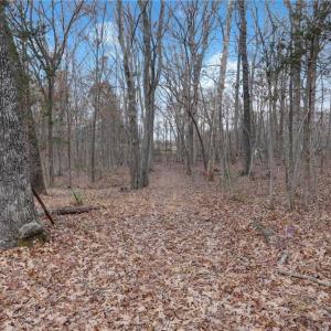 Photo #21 of Lot 2 Joe Cobb, Ruffin, NC 29.5 acres