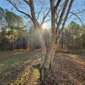 Photo #5 of 277 Riverhills, Rockingham, NC 2.0 acres