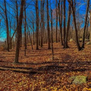 Photo #16 of 1644 Sierra Trace, Denton, NC 5.3 acres