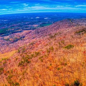 Photo #3 of 1644 Sierra Trace, Denton, NC 5.3 acres