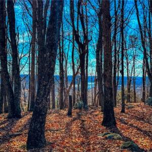 Photo #14 of 1644 Sierra Trace, Denton, NC 5.3 acres