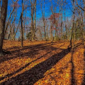 Photo #18 of 1644 Sierra Trace, Denton, NC 5.3 acres