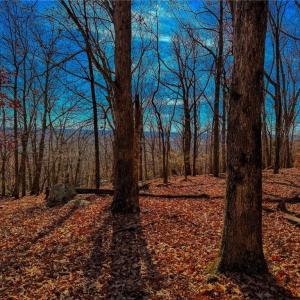 Photo #15 of 1644 Sierra Trace, Denton, NC 5.3 acres