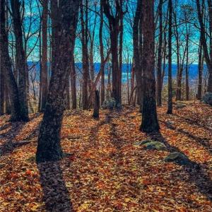 Photo #11 of 1644 Sierra Trace, Denton, NC 5.3 acres